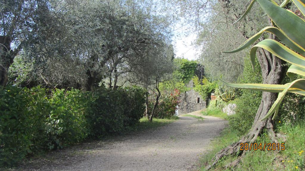 Villa Des Oliviers Le Tignet Dış mekan fotoğraf